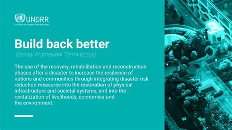 Build Back Better Undrr に対する画像結果