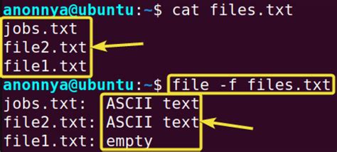 Linux Command to Add Multiple Line-साठीचा प्रतिमा निकाल