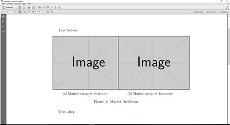 Image result for Description of a Figure Example Text Under an Image