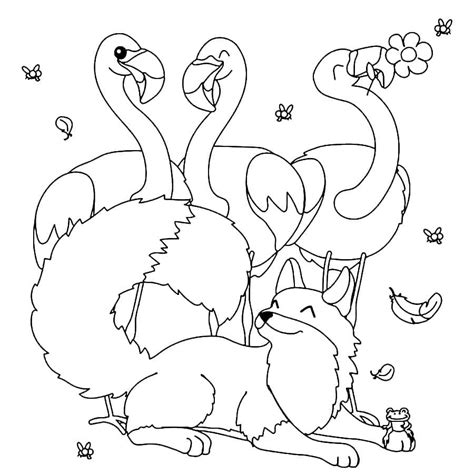 Image result for Flamingo Print Color