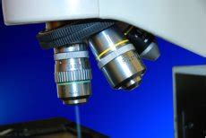 Image result for Light Microscope Resolution