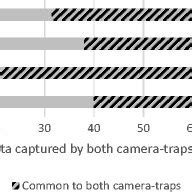 Camera Trap Data Sheet Example に対する画像結果