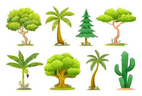 Set of different types of trees illustration 6696112 Vector Art at Vecteezy