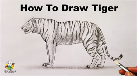 Tiger Drawing Tutorial 的图像结果