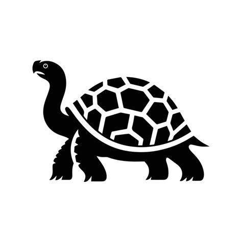 Image result for Vector Graphics Sea Turtle