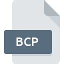 Image result for BCP Format File