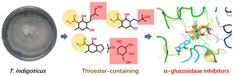 Image result for Thioester Hydrolysis Complement Cascade
