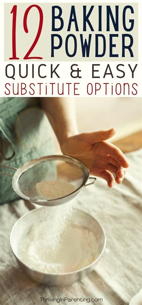 Substitution for Baking Powder に対する画像結果