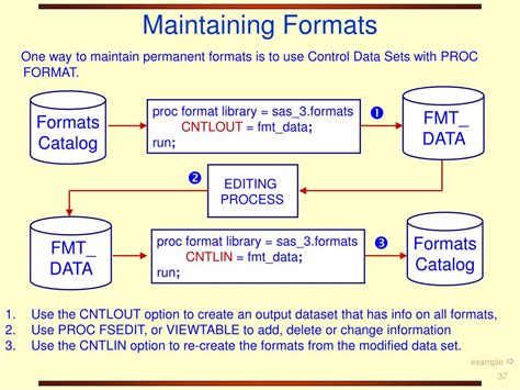 Image result for Proc Format Example