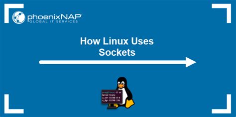 Image result for Linux Unix Socket