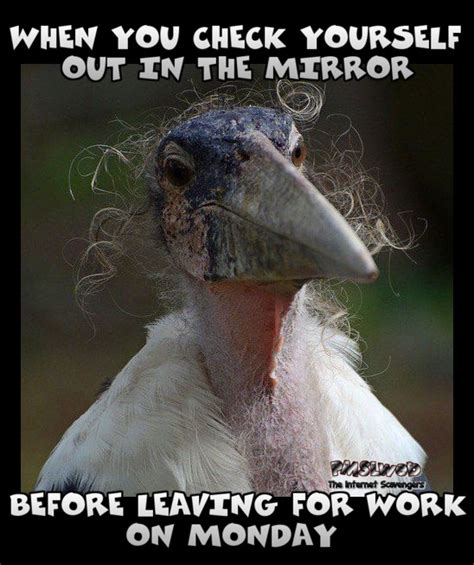 Meme Computer Screen Background に対する画像結果