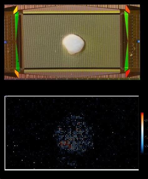 Image result for Biocomputer