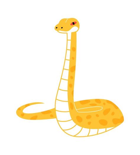 Python Serpent Taille に対する画像結果