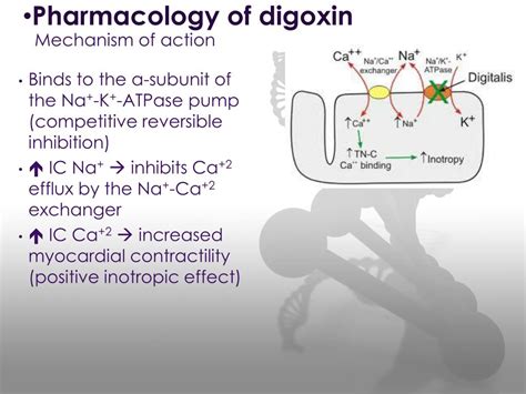 Image result for Digoxin Elixir