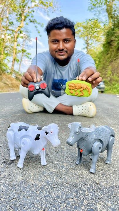 Image result for Wireless Remote Control Cow Sound