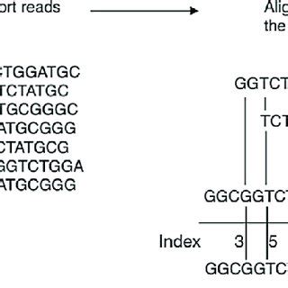 Genome Sequencing Workflow కోసం చిత్ర ఫలితం