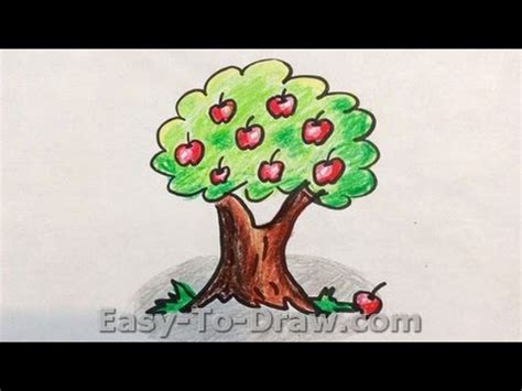 Image result for Apple Tree Drawing Easy