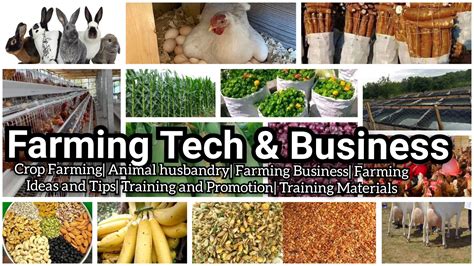 Image result for Faming TechKnowledge