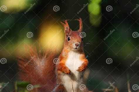 JavaScript Logo Backroud ಗಾಗಿ ಇಮೇಜ್ ಫಲಿತಾಂಶ