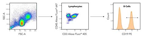 Image result for Flow Cytometry Panel