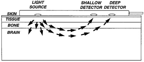 Image result for Dual Sensor Input