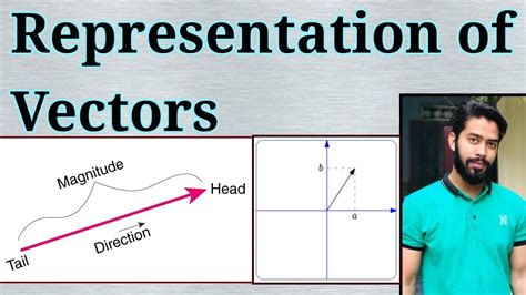 Image result for Physics Vector Representation