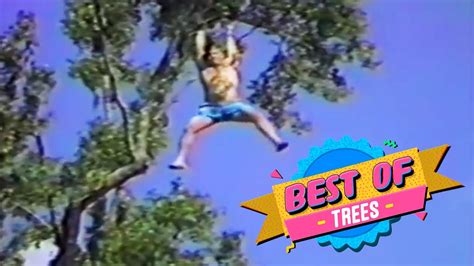 Image result for AFV Classics Part 88