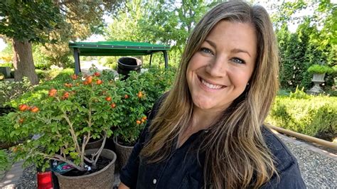 Image result for Garden Answer Latest