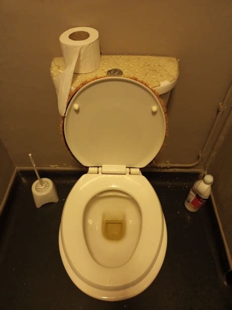 Image result for Toilet Kind