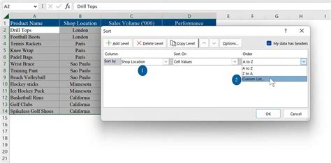 Image result for Advanced Sort in Excel
