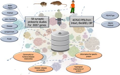 Image result for Structure of Vue3 Web SQLite Application with Database