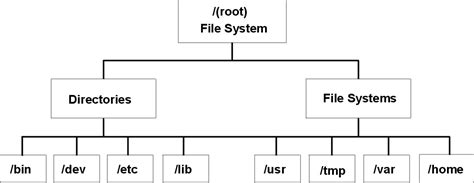 Image result for Mac OS File System Diagram
