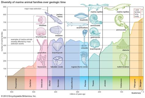 Pumpkins Geologic Time Scale に対する画像結果
