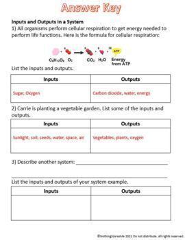 Image result for Input/Output Science Worksheet