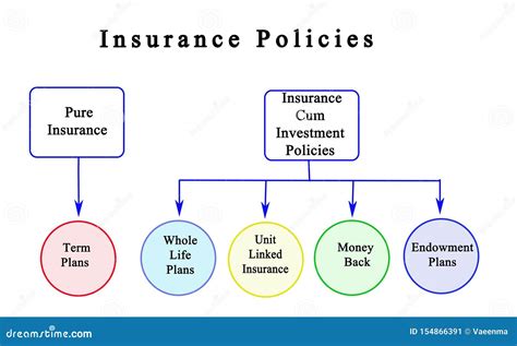 Toradh íomhá ar Flow Chart On Types of Life Insurance