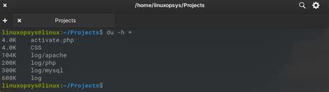 Image result for Du Linux Command