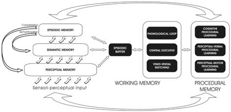 Image result for General Model of Memory
