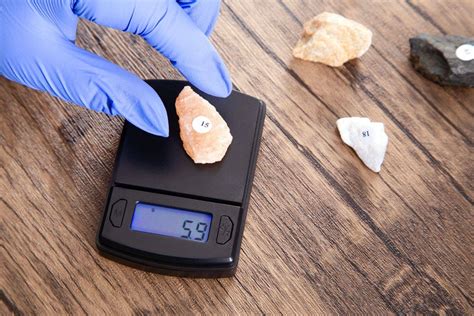 Science Interactive Lab Answers に対する画像結果