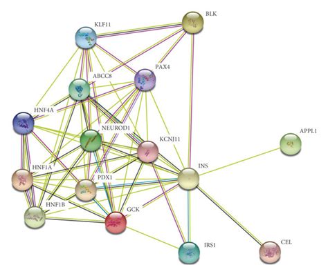 Image result for Who Discrovered String Database