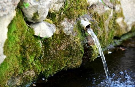 Image result for Spring Water System