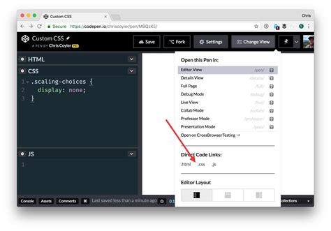 Learn JavaScript Free with CodePen に対する画像結果