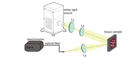 Image result for Diffuse Reflectance Spectroscopy Diagram