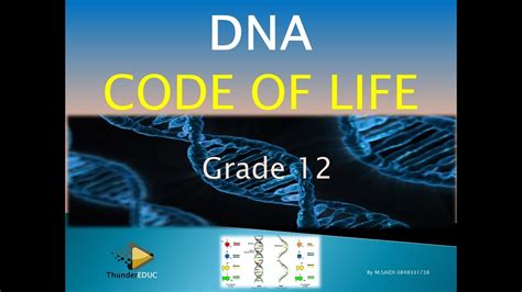 Image result for DNA Grade 12