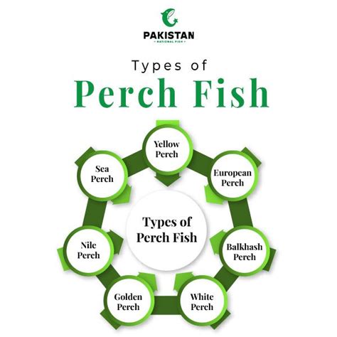 Types of Perch Fish に対する画像結果