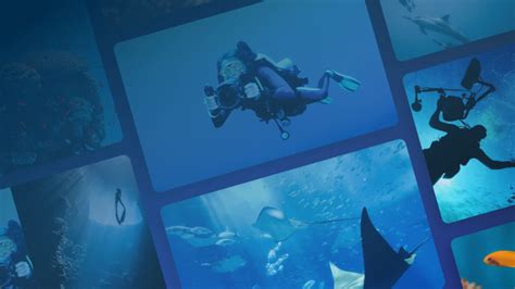 תוצאת תמונה עבור Editing Video Flow Chart