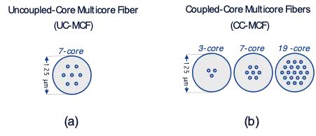Core Multi Fibious に対する画像結果