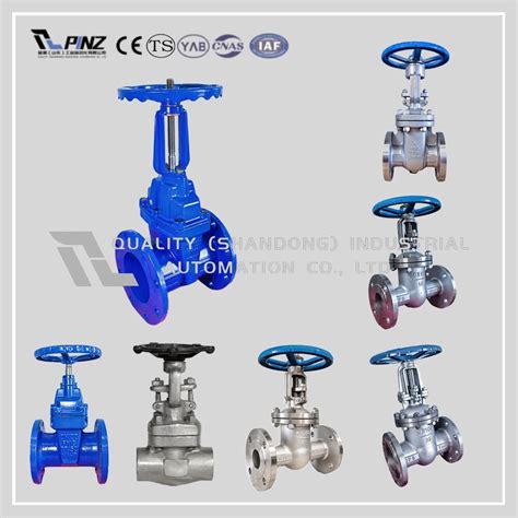 Image result for Parallel Slide Steam Control Valve