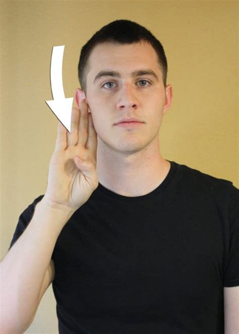 Sign Language Border に対する画像結果