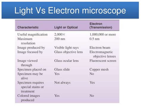 Light Microscope vs Electron Microscope Cells に対する画像結果