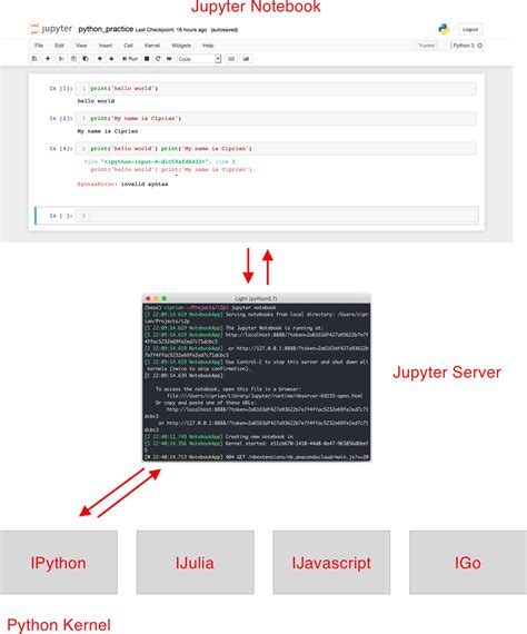 Image result for Document of Codes within Jupyter Notebook Python